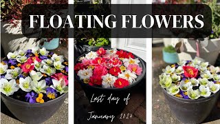 Floating Flower Arrangements [upl. by Sicard935]