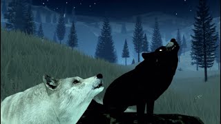 Wolves  Yellowstone Unleashed  Part 6 [upl. by Neural660]