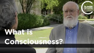 Daniel C Dennett  What is Consciousness [upl. by Maidel766]