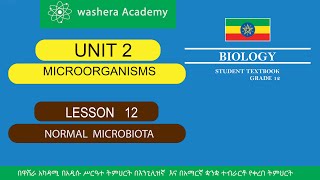 BIOLOGY GRADE 12 UNIT 2 LESSON 12 NORMAL MICROBIOTA [upl. by Ysnat525]