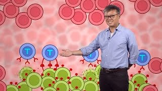 Synthetic Biology Building cell signaling networks  Wendell Lim [upl. by Drawets865]