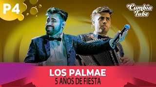 Los Palmae  5 Años de Fiesta Vol 4  Show en Vivo [upl. by Sacul663]