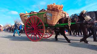 quotEntre Relinchos y Tradición Desfile Magnífico en la Fiesta de Tres Tombs Calafell quot [upl. by Ariada]