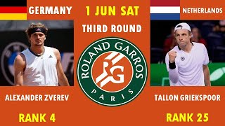 ALEXANDER ZVEREV VS TALLON GRIEKSPOOR  Head 2 Head Prediction French Open 24frenchopen2024 [upl. by Atnaloj]