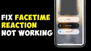 How To Fix Facetime Reactions iOS 17 Not Working [upl. by Boorer]