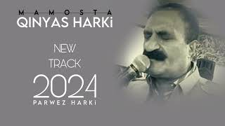 Qinyas Harki new track 2024 [upl. by Derwon263]