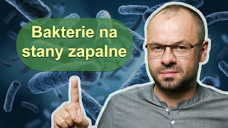 Te bakterie zwalczą stan zapalny w organizmie [upl. by Deloris]