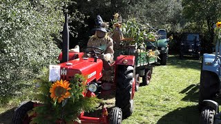 Historisches Erntedankfest in Blankenheim Dollendorf am 24092023 [upl. by Ainesell]