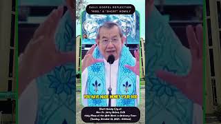 SHORT CLIP – HOMILY – REFLECTION OF REV FR JERRY ORBOS SVD [upl. by Ruosnam288]