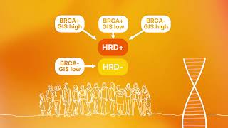 Introduction to Homologous Recombination Deficiency HRD assessment [upl. by Sanez]