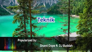 Teknik 38755 Shanti Dope ft DJ Buddah [upl. by Adaynek]