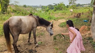 Eid day vlog My Family Vlog Video  Viral Vlog Video  Bangladeshi Vlog [upl. by Alene856]