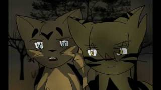 Warriors AMV Tigerstar and Scourge Frontline by Pillar [upl. by Fulviah645]