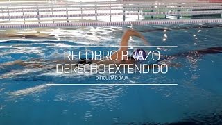 Técnica de Natación Recobro con Brazo Extendido [upl. by Ahsie]