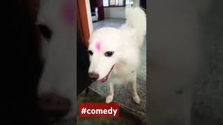 Tumhari skine bahot glow🤣🤣🤣 comedy [upl. by Eerrahs]