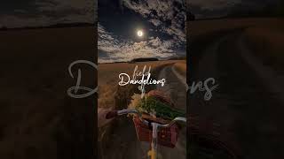 Dandelions Ruth B music lyrics aesthetic lyricalvideo shorts [upl. by Occor154]