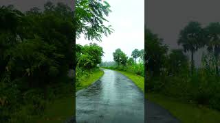 Roja BGM shortvideo trending viralvideo nature rain [upl. by Brunhild]