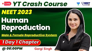 Human Reproduction  Male amp Female Reproductive System  YT Crash Course NEET 2023  Gargi Singh [upl. by Hausner]