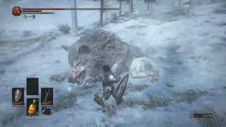 DS3 Walkthrough  Painted World of Ariandel [upl. by Rieger181]