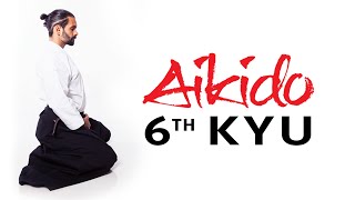 Aikido Techniques for Beginners  6th Kyu Test Requirements [upl. by Sisak]