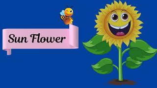 Flowers Name  Flowers  Flowers Name in English  Flowers Video  Flowers Name with pictures [upl. by Chapa]