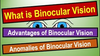 BINOCULAR VISION Binocular Vision tests grades and treatment binocularvision [upl. by Kain]