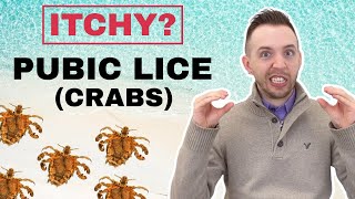 Crabs STD Pubic Lice  Symptoms amp Treatment Of Pubic Lice [upl. by Ilarin]