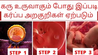 early pregnancy symptoms in tamil by doctorகரு உருவாதல் அறிகுறிimplantation symptoms in tamil [upl. by Relyuhcs247]