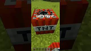 leaked mega Arrow tnt firework in minecraft 121 minecraft minecraftshorts [upl. by Eiramyllek910]