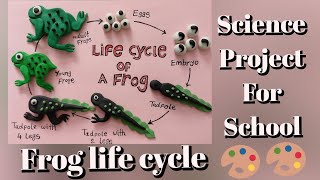 The Life Cycle of a quotFrogquot  3d life cycle of quotFrogquot [upl. by Ennaimaj937]