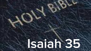 Isaiah 35 NIV The Audio Bible [upl. by Eigger]