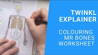 KS2 Science Colouring Mr Bones Skeleton Worksheet [upl. by Pich]