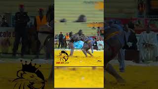 Moussa ndoye vs tonnere 2016 🇸🇳abonnés vous shorts [upl. by Sidoney160]