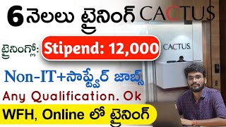 CACTUS కంపెనీ లో 6 నెలలు ట్రైనింగ్ Multiple Job Openings  Intern Roles  Any Qualification Jobs [upl. by Jezreel767]