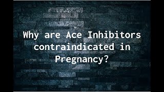 Cardiology for Students Why are Ace Inhibitors contraindicated in Pregnancy [upl. by Nnaer]