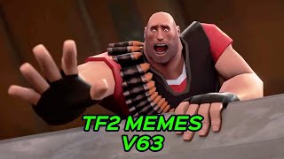 TF2 MEMES V63 [upl. by Lavona748]