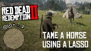 Tame a horse with a lasso  Red Dead Redemption 2 [upl. by Kosaka]