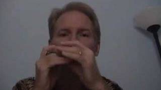 Blues Harmonica Secrets Revealed Gussow002 [upl. by Berna721]