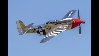 P51D Mustang quotSee Me Laterquot [upl. by Euqirat]