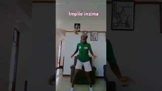 Impilo Inzima dance dancechallenge [upl. by Erv]