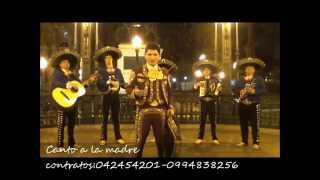 CANTO A LA MADRE MARIACHI  VASCO ANTARES [upl. by Olson]