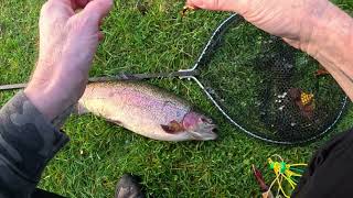 93  Catching Big trout at Avington Trout Fishery [upl. by Giliane]