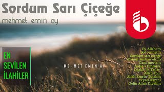 Sordum Sarı Çiçeğe  Mehmet Emin Ay [upl. by Nylodnew391]