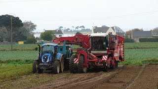 RARE Arrachage de panais bio 2017 en bord de merGRIMME VARITRON 270New Holland T5 110 [upl. by Schacker607]