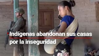 NO HAY SEGURIDAD  Cerca de 800 indígenas abandonaron sus casas por la ola de violencia en Chiapas [upl. by Ymar863]