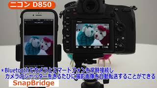 ニコン D850 説明動画（カメラのキタムラ動画Nikon） [upl. by Kamp945]