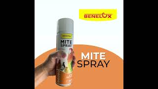 Benelux Mite Spray Tried  Tested  BRILLIANT Highly recommendedAnd the smell  Much better [upl. by Id]