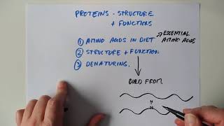 Higher Chemistry Proteins 2 [upl. by Shedd]