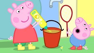 Peppa Pig and George Pig Play With Bubbles  Peppa Pig Official Family Kids Cartoon [upl. by Amalberga768]