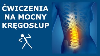 Ćwiczenia na stabilny i mocny kręgosłup  Stabilizacja głęboka kręgosłupa  Ćwiczenia CORE [upl. by Arleen885]